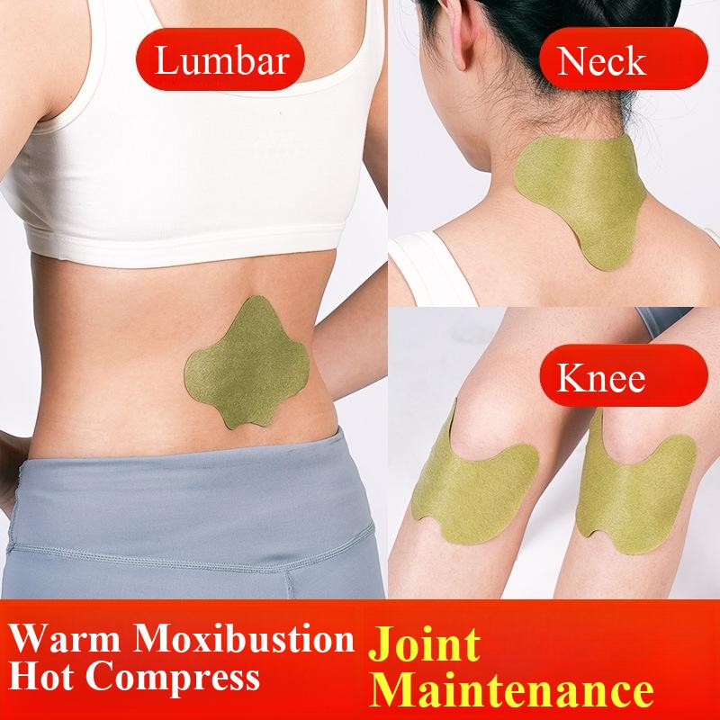 100pcs Wormwood Lumbar Patches - Yoga Health & Fitness Center recensione e prezzo