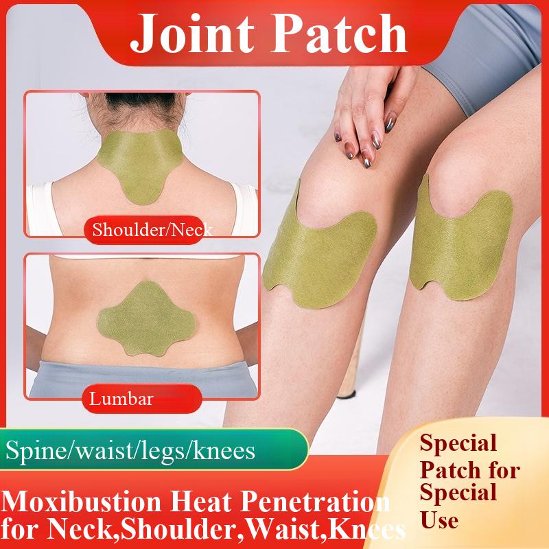 100pcs Wormwood Lumbar Patches - Yoga Health & Fitness Center recensione e prezzo