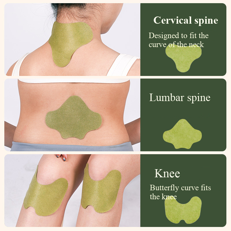 100pcs Wormwood Lumbar Patches - Yoga Health & Fitness Center recensione e prezzo